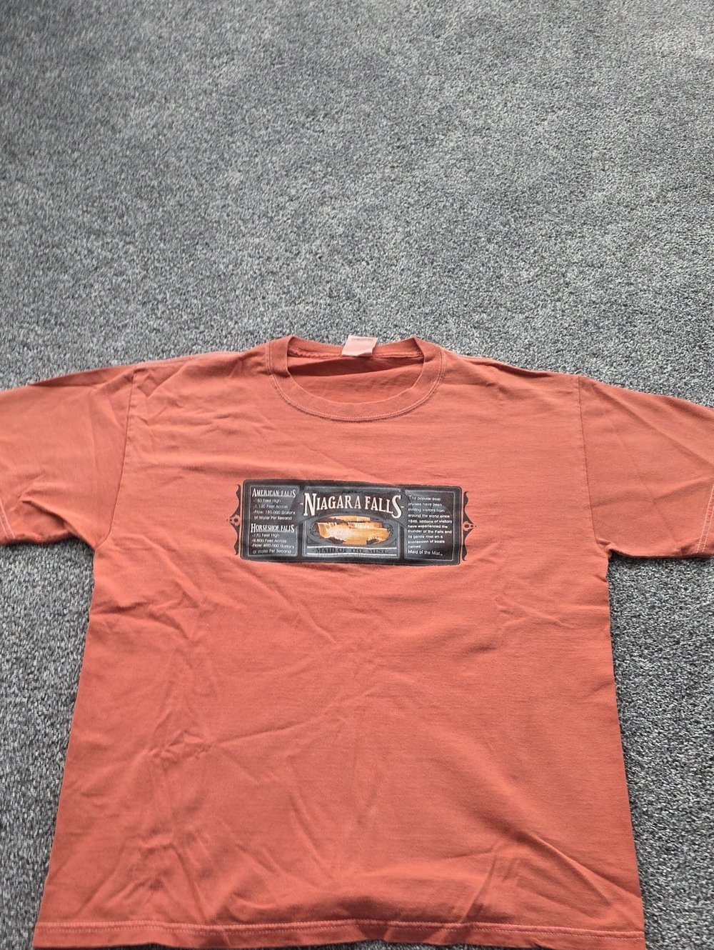 Niagara Falls Graphic T-Shirt in Rust